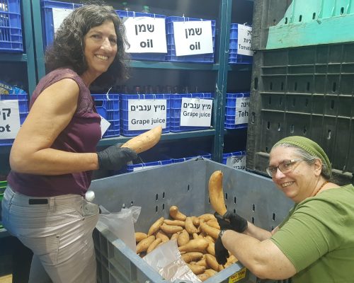 מתנדבות בירושלים עובדות ממשרד הבריאות